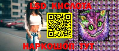 крисы Моздок