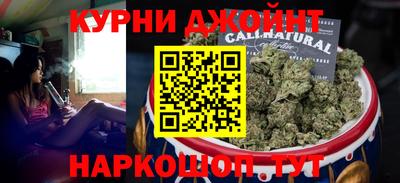 крисы Моздок