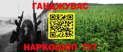 крисы Моздок