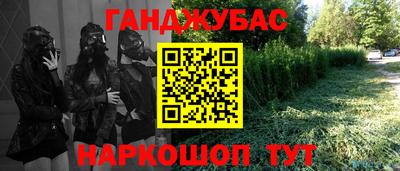 крисы Моздок