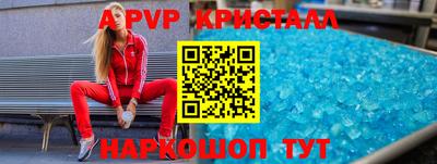 крисы Моздок