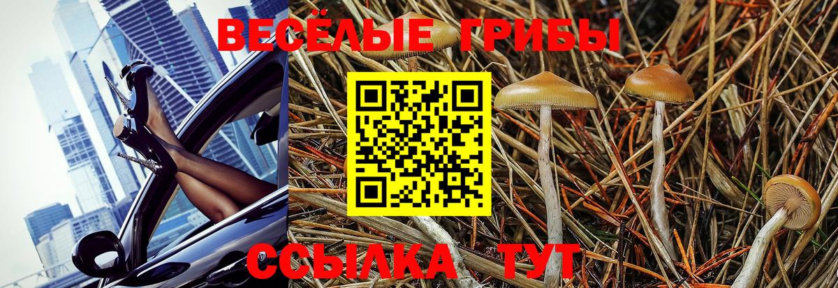 Галлюциногенные грибы мицелий Фрязино