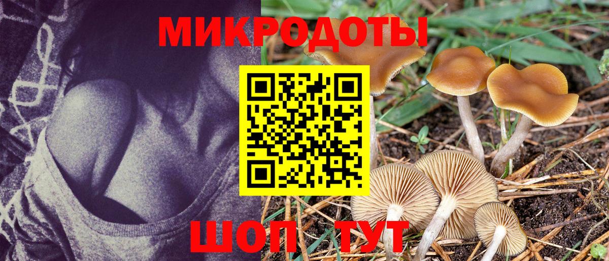 где купить наркотик  Галлюциногенные грибы Cubensis  Вход с VPN  Галлюциногенные грибы Magic Shrooms  Фрязино 